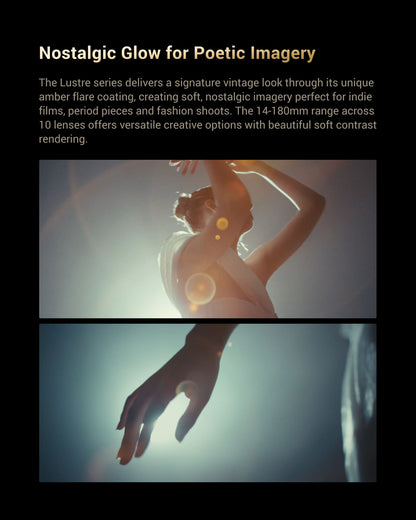 Arles Lustre DZOFILM Store