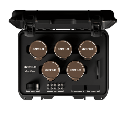 Arles Lustre DZOFILM Store