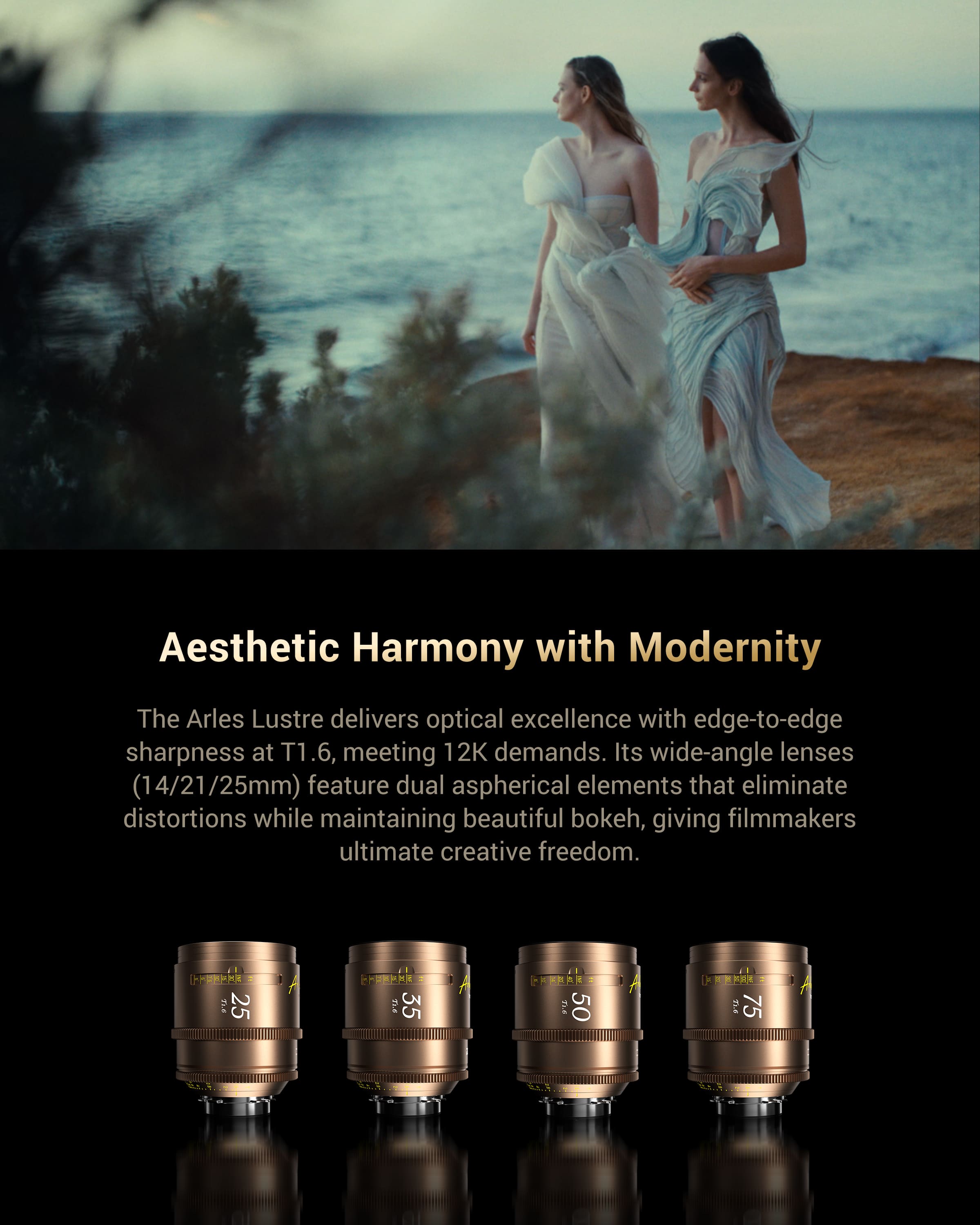 Arles Lustre DZOFILM Store