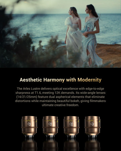 Arles Lustre DZOFILM Store