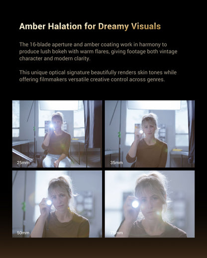 Arles Lustre DZOFILM Store