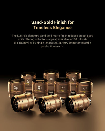 Arles Lustre DZOFILM Store