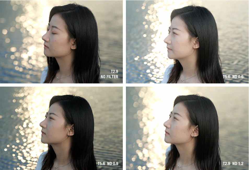 Catta Coin Plug-In Filter for Catta Zoom