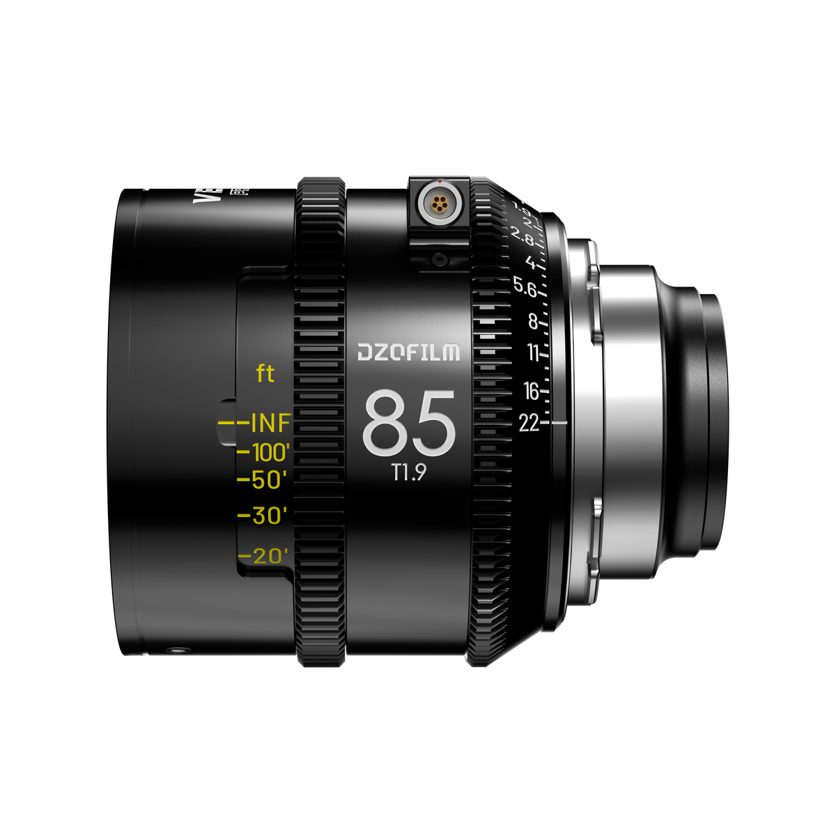 Vespid2_85mm_Single_Lens_ft_3.
