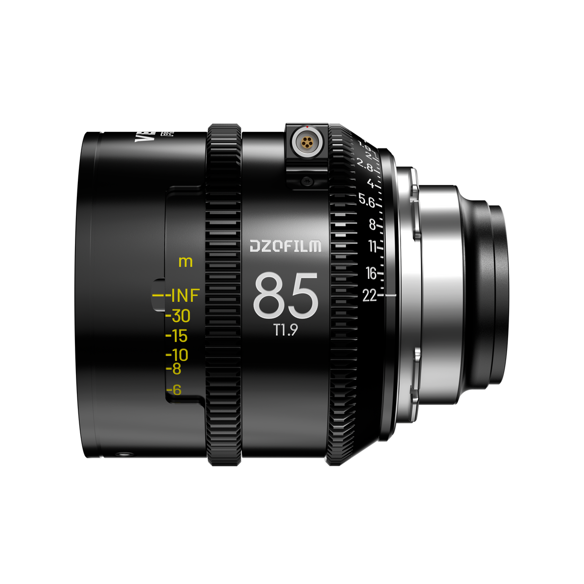 Vespid2_85mm_Single_Lens_m_3.