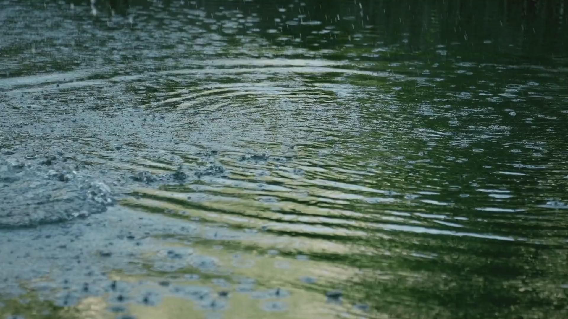 動画を読み込む